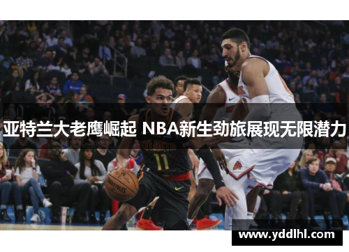 亚特兰大老鹰崛起 NBA新生劲旅展现无限潜力