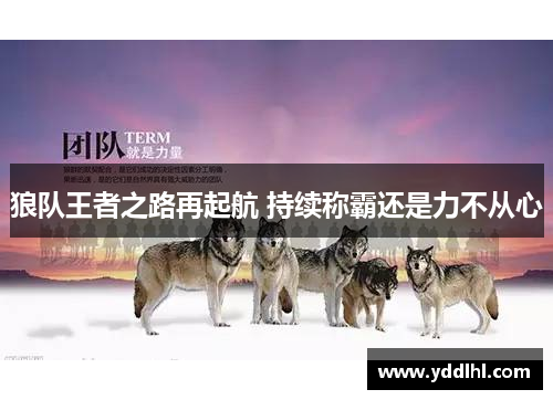 狼队王者之路再起航 持续称霸还是力不从心