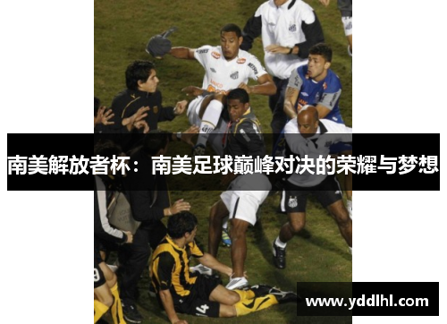 南美解放者杯：南美足球巅峰对决的荣耀与梦想